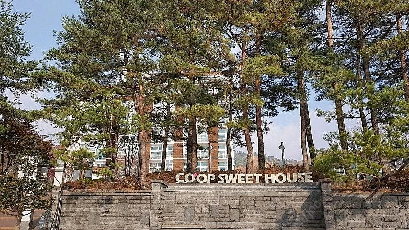 휘닉스파크 3분이내 시즌방 코업 스위트 하우스 - 안심되는 중고거래