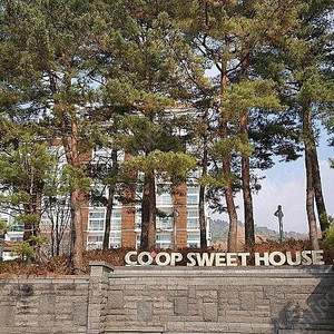 휘닉스파크 3분이내 호텔식 아파트 시즌방 임대 이미지