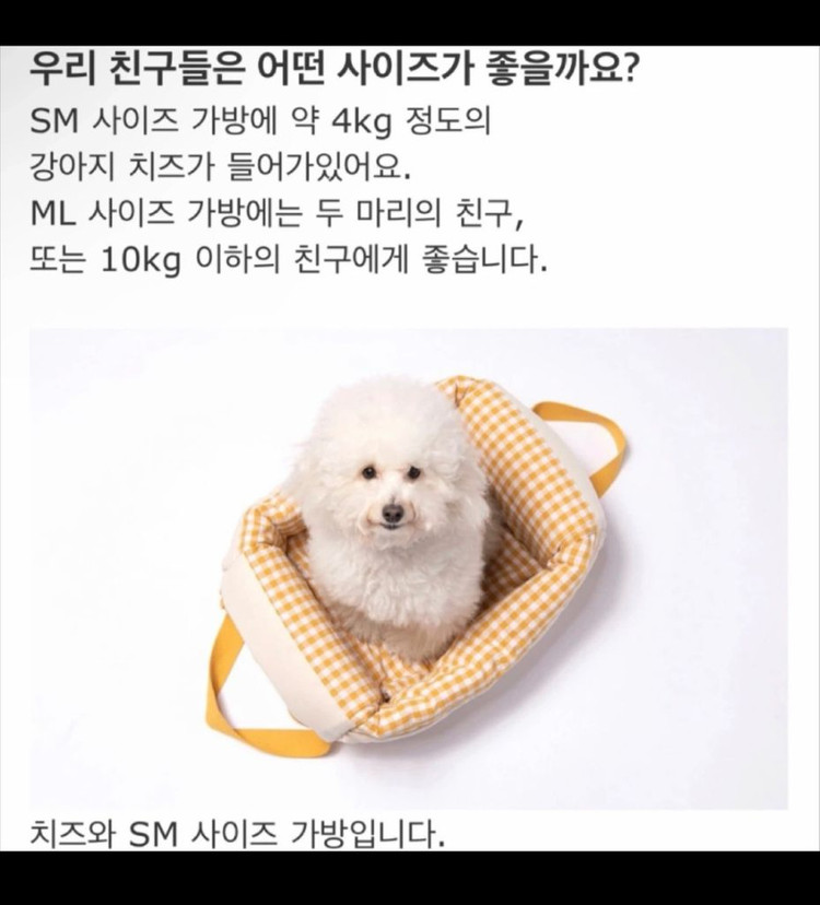 1회사용) 강아지이동가방 베럴즈 이케코백 sm사이즈, 강아지슬링백 이미지