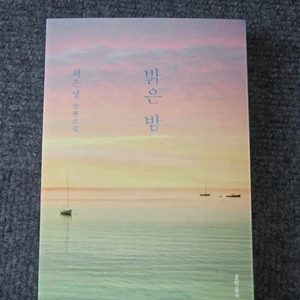 (새책)(베스트셀러) 밝은 밤 이미지
