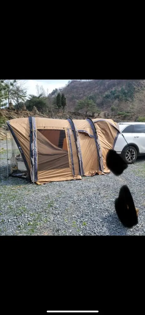 아코플라 미니오토큐브 사하라 골드샌드 텐트 이미지