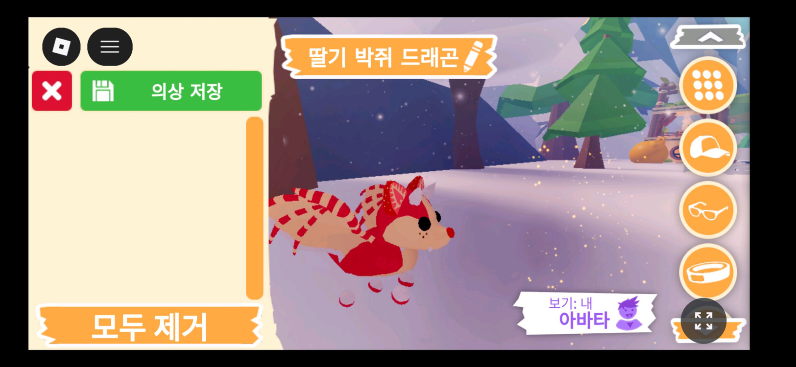 입양하세요 펫 딸기 박쥐 드래곤(딸박) 판매 합니다 이미지