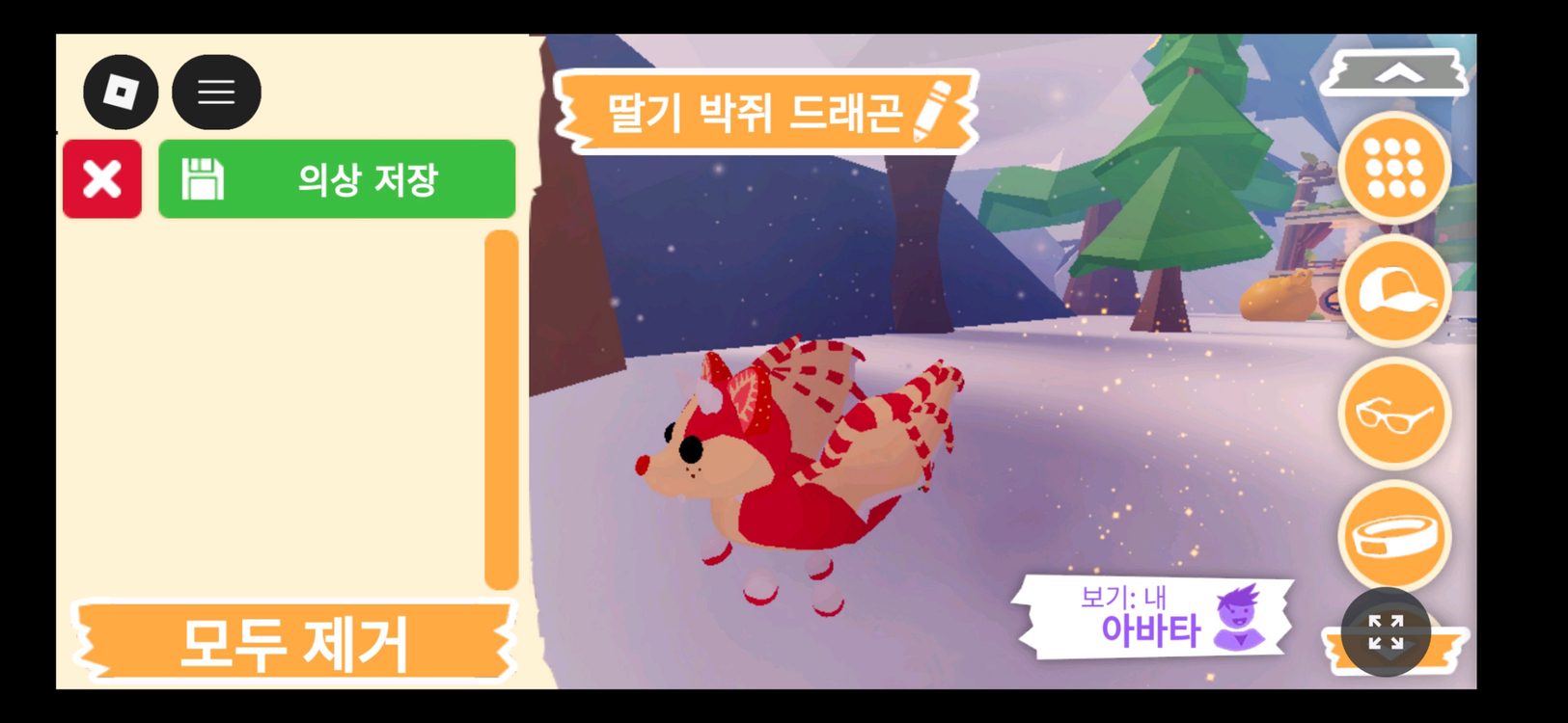입양하세요 펫 딸기 박쥐 드래곤(딸박) 판매 합니다 이미지