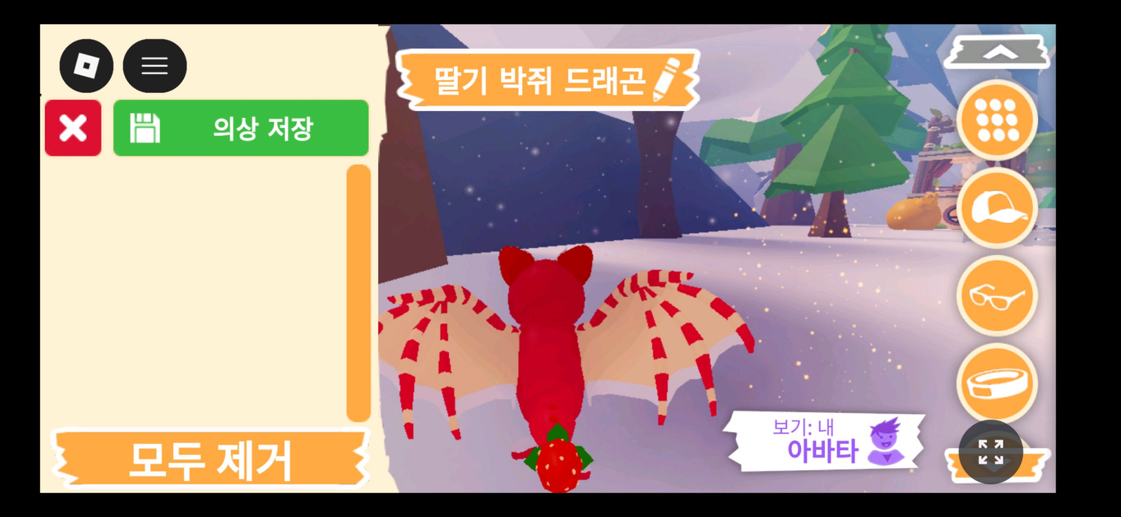 입양하세요 펫 딸기 박쥐 드래곤(딸박) 판매 합니다 이미지
