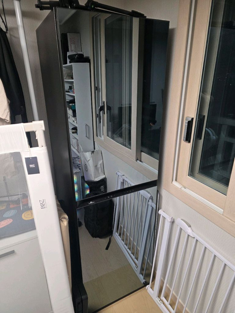 삼성 에어드레서 의류관리기 DF24CB9900CR 미러 이미지