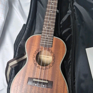 영창 우쿠렐레입니댜 이미지
