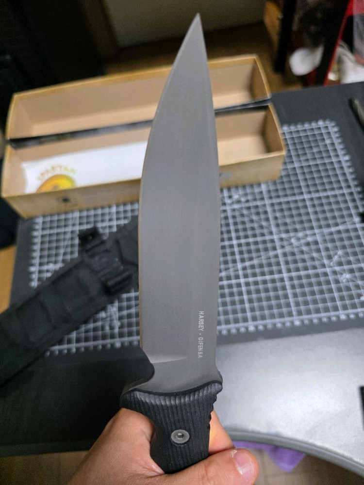 스파르탄 블레이드 하르시 디펜사 팝니다. 이미지