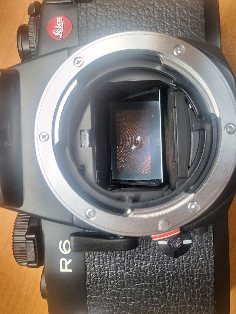라이카 R6, 주미룩스R 50mm 1.4(민트급) 가격내립니다ㅠㅠ 이미지