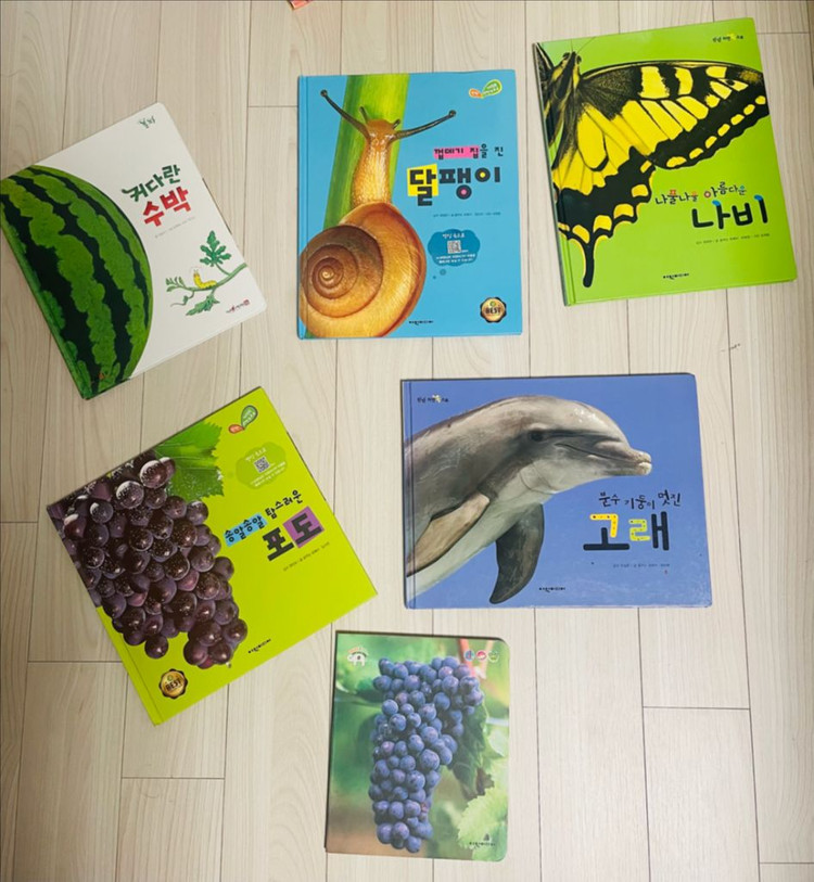 프뢰벨 생생다큐 자연관찰 전집 50권 + dvd및cd 9개 + 다른출판사 자연관찰책 6권 이미지