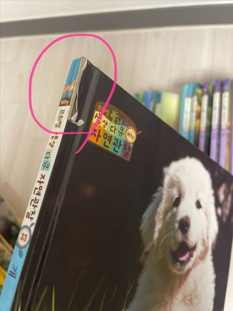 프뢰벨 생생다큐 자연관찰 전집 50권 + dvd및cd 9개 + 다른출판사 자연관찰책 6권 이미지