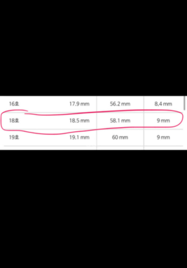 다니엘 웰링턴 로즈골드 이미지