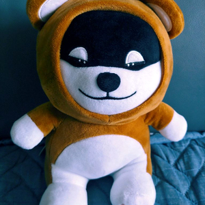 시로앤마로 곰마로 시바견 마로 곰인형 이미지