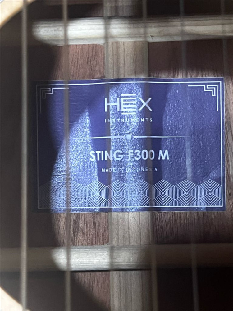 HEX STING F300 M 어쿠스틱 기타 풀세트 이미지