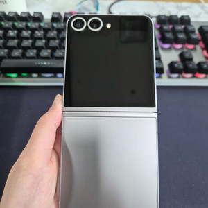 갤럭시 Z플립6 256GB_실버 이미지