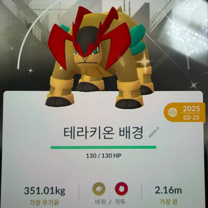 포켓몬고 테라키온 배경이로치 판매 이미지