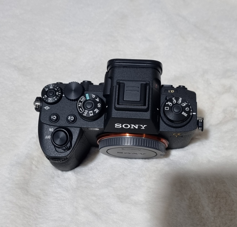 소니 A1 , A7R5 이미지