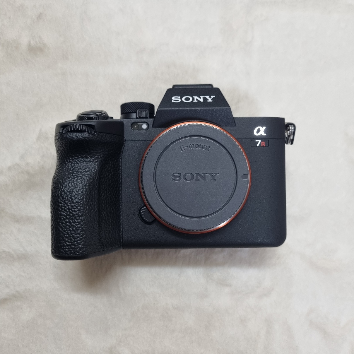 소니 A1 , A7R5 이미지