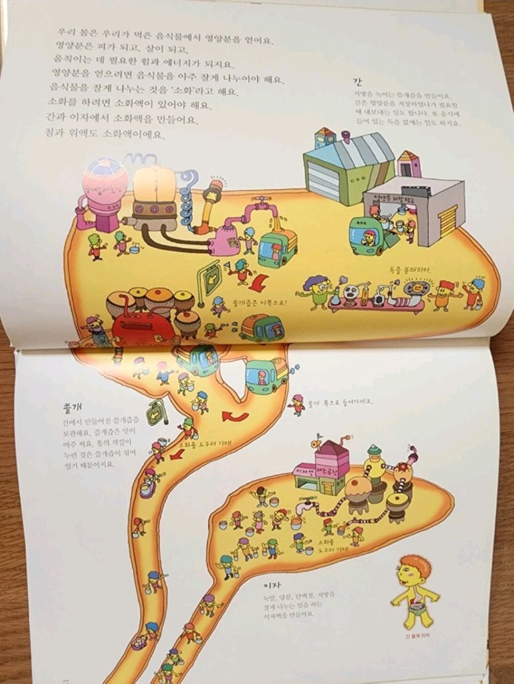 생활 속 원리과학 전권 72권 이미지