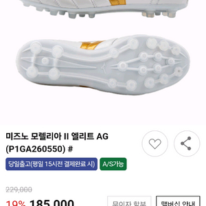 미즈노엘리트축구화270 이미지