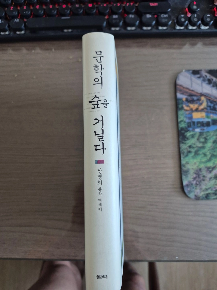 장영희교수, 문학의 숲을 거닐다. 이미지