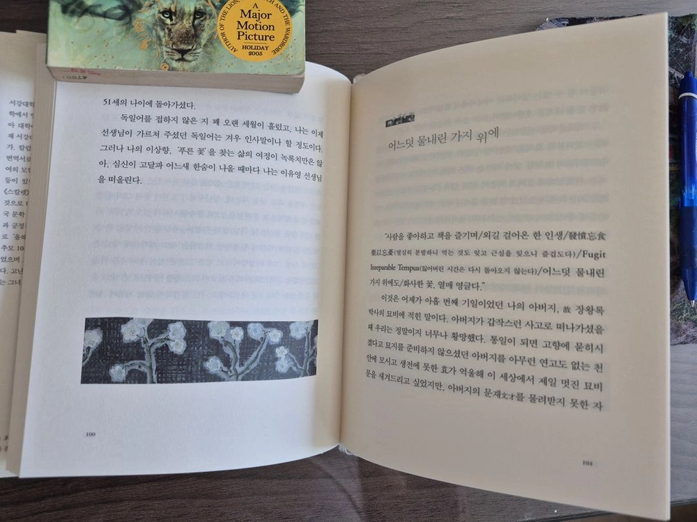 장영희교수, 문학의 숲을 거닐다. 이미지
