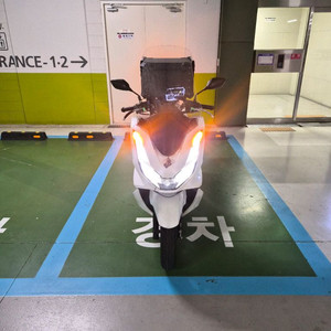 22년식 혼다 pcx (업자x,블랙박스) 이미지
