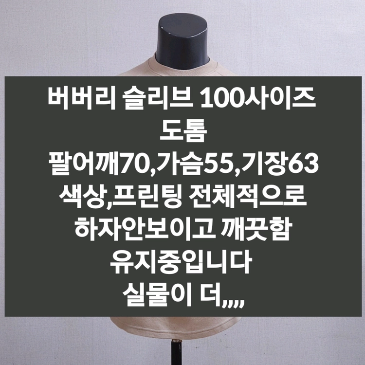 버버리 맨투맨 100 이미지