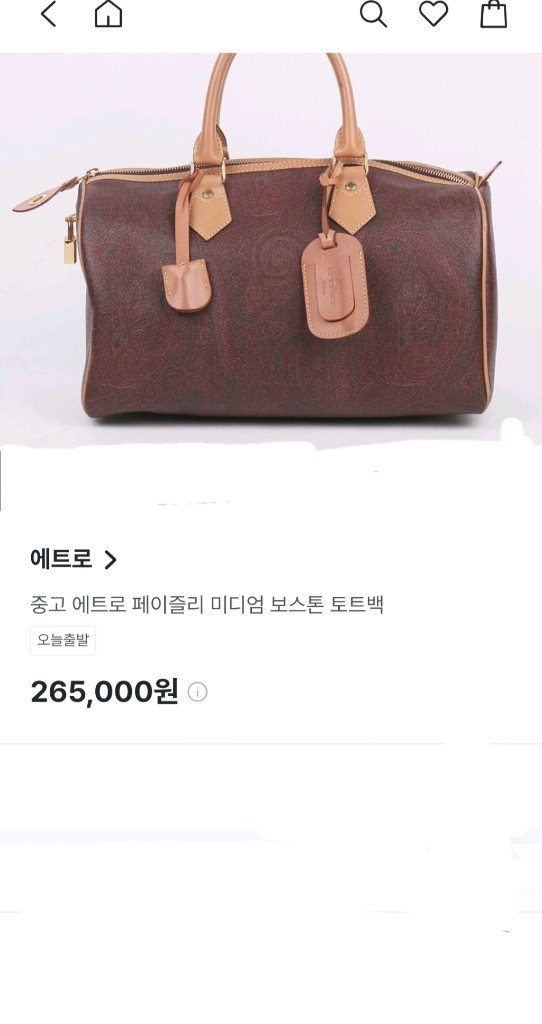에트로 ETRO 보스턴백/ 루이비통 보스턴백 이미지