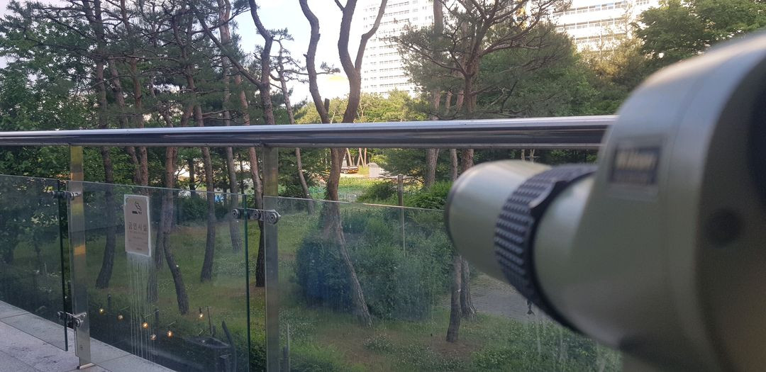 올림푸스 현미경 접안렌즈 필드스코프 이미지