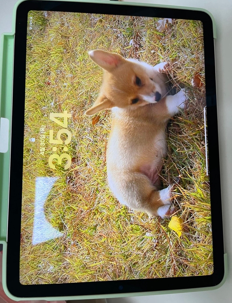 아이패드 에어 5세대 64gb wifi 스타라이트 이미지