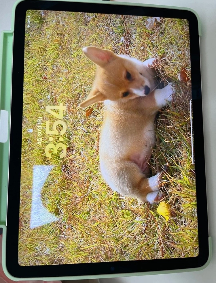 아이패드 에어 5세대 64gb wifi 스타라이트 이미지