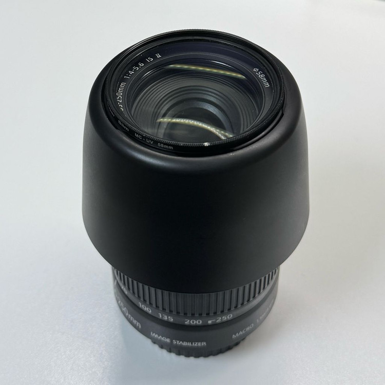 캐논 EF-S 55-250mm IS II 헝그리망원 렌즈 이미지