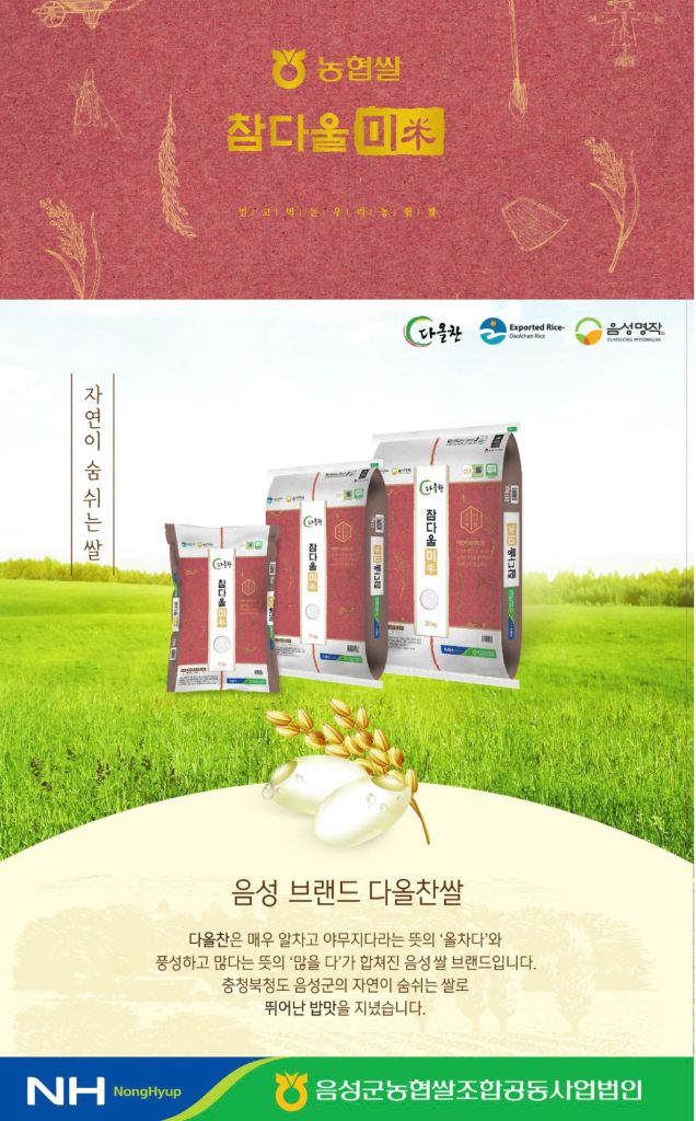 쌀 10kg 음성군농협 참다울미 상등급 이미지
