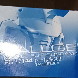 RG 톨기스 2 이미지