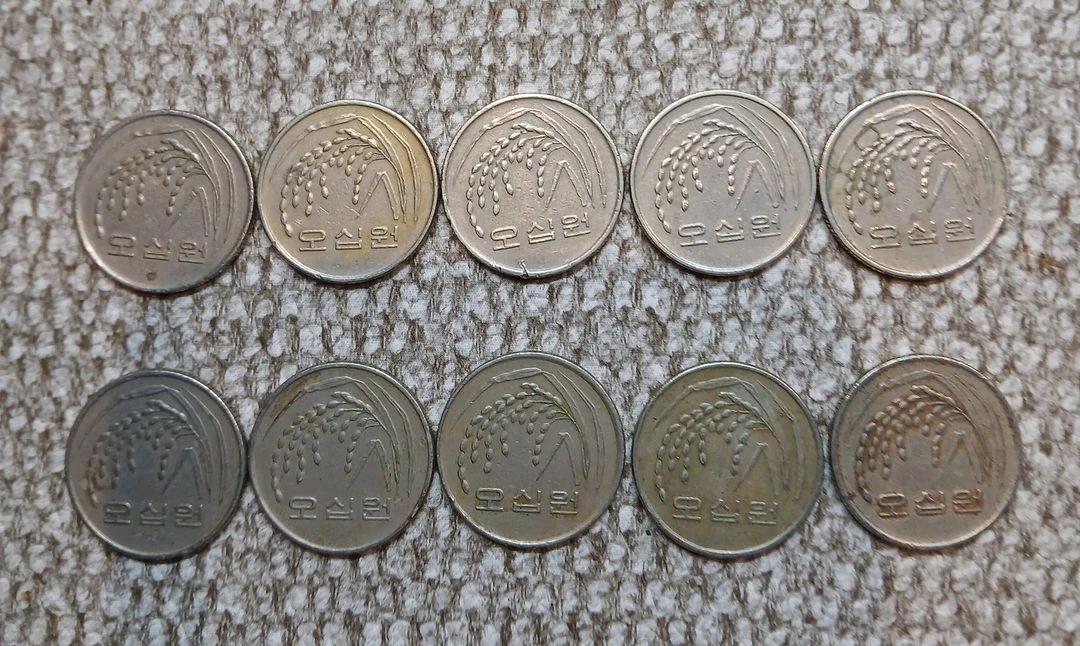 1988년 50원 동전 10개 일괄 이미지