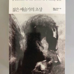 책 도서 젊은 예술가의 초상 (제임스 조이스) 이미지