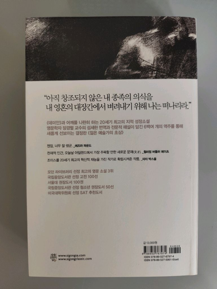 책 도서 젊은 예술가의 초상 (제임스 조이스) 이미지