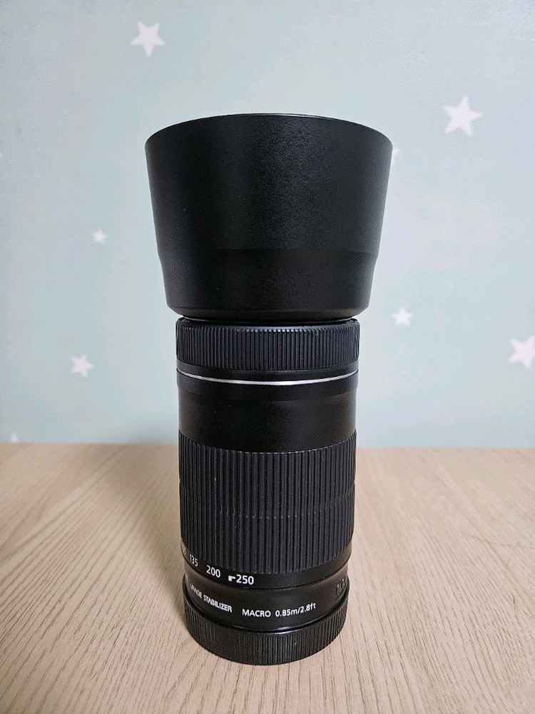 캐논 헝그리망원 EF-S 55-250mm F4-5.6 IS STM 망원렌즈 이미지