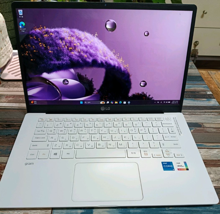 LG 그램 14인치 모델 14Z95N-GP5KL 이미지
