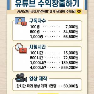 유튜브 내 채널로 수익창출하기 YPP 수창채널 이미지
