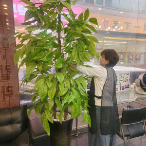 대형 조화 나무 해피트리 인테리어 화분 이미지