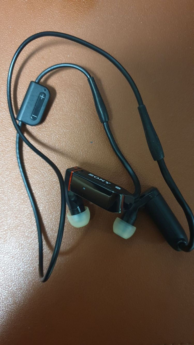 SONY 소니 XBA-BT75 BA 블루투스 이어폰 이미지
