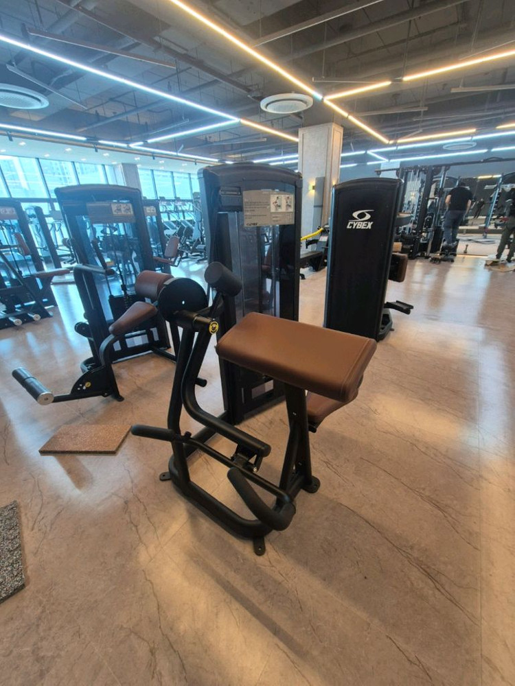 [판매]중고 싸이벡스 머신 판매합니다. 이미지
