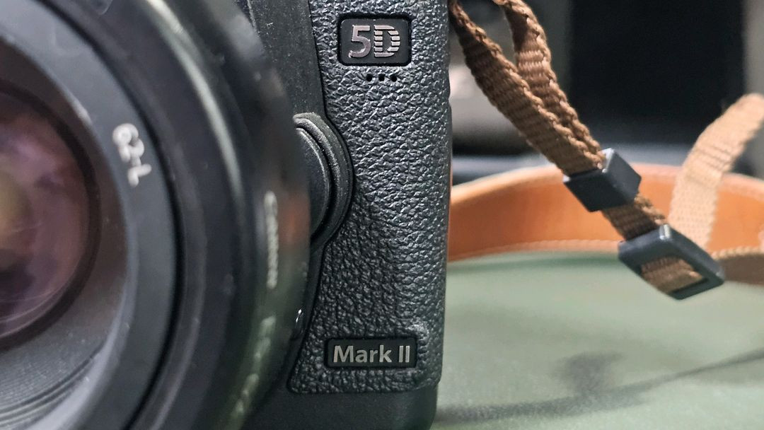 캐논 5D mark2 이미지