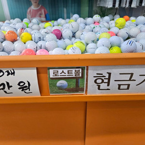 로스트볼 100개 이미지