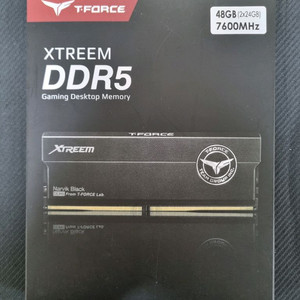 팀그룹 DDR5 48GB 24GB 2장 7600MHz 고수율 하이닉스 칩셋 램 이미지