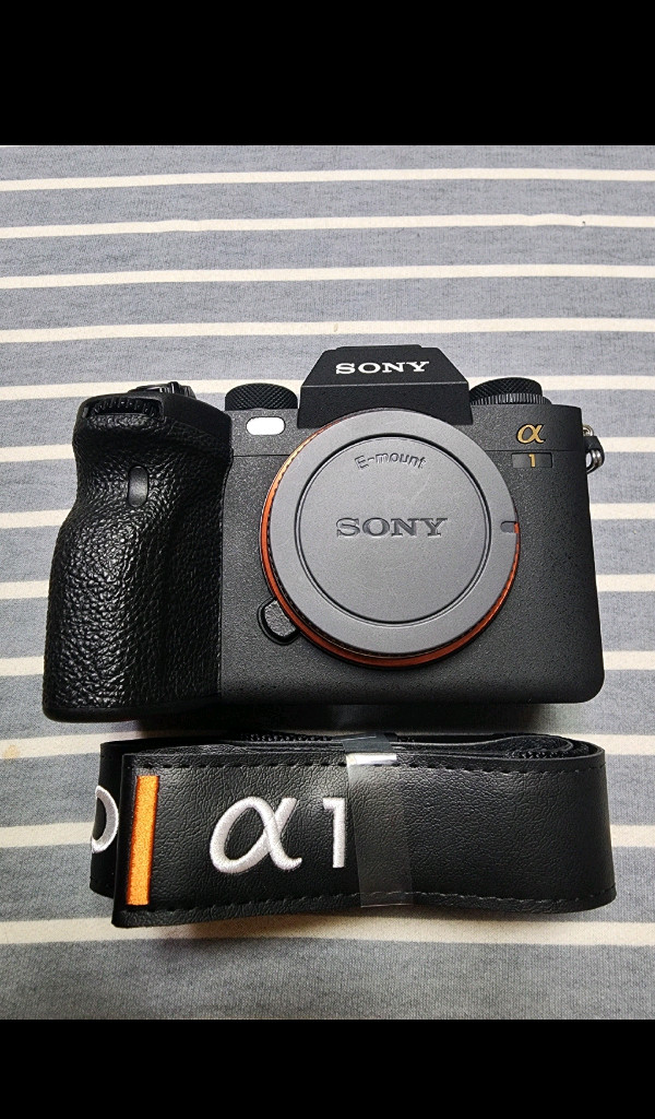 A1, 20-70G, 28-200, 아티산 AF 40mm f2 소니 FE마운트 팝니다. 이미지