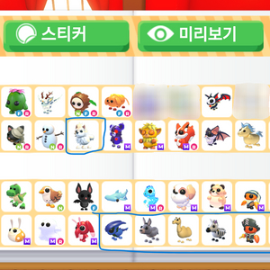 입양하세요 잡펫들 팝니다 이미지