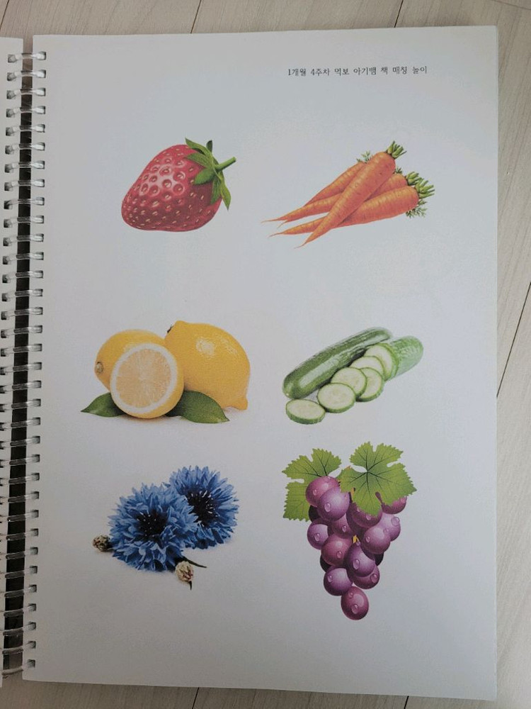 프뢰벨 영아다중 말하기 활동지 이미지