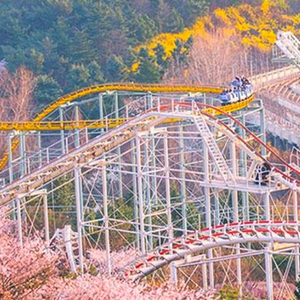 이월드 종일권 이미지